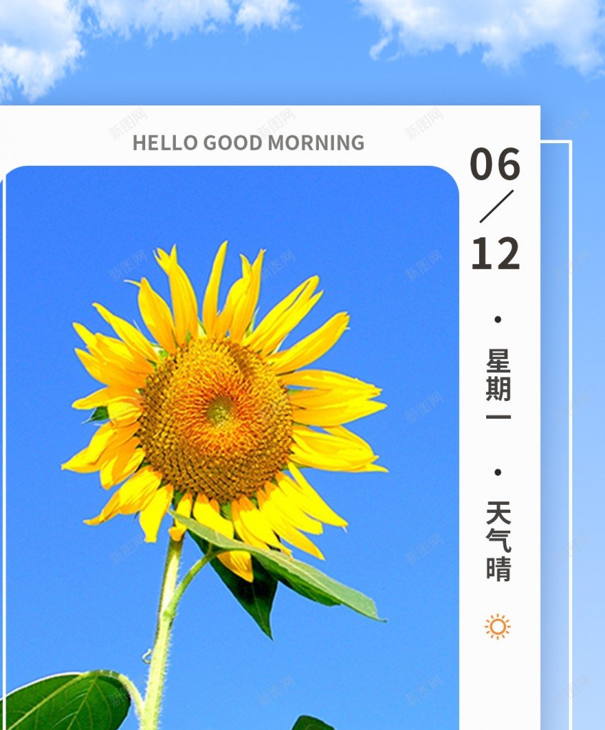 向日葵日签长屏海报psd_88icon https://88icon.com 向日葵 每日 一签 你好早安 每日一签 清新 长屏海报 手机海报