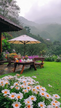 大自然放松背景