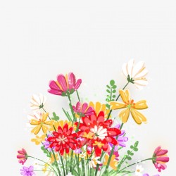 卡通装饰插画植物花朵鲜花彩色元素素材