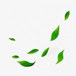 绿色植物装饰树叶元素素材