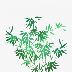 卡通装饰绿色树枝树叶插画漂浮元素素材