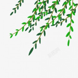 卡通绿色植物端午节柳树元素素材