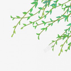 卡通绿色植物端午节插画垂柳元素素材