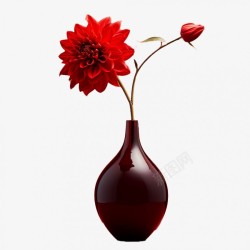 一枝装在花瓶里的大丽花素材