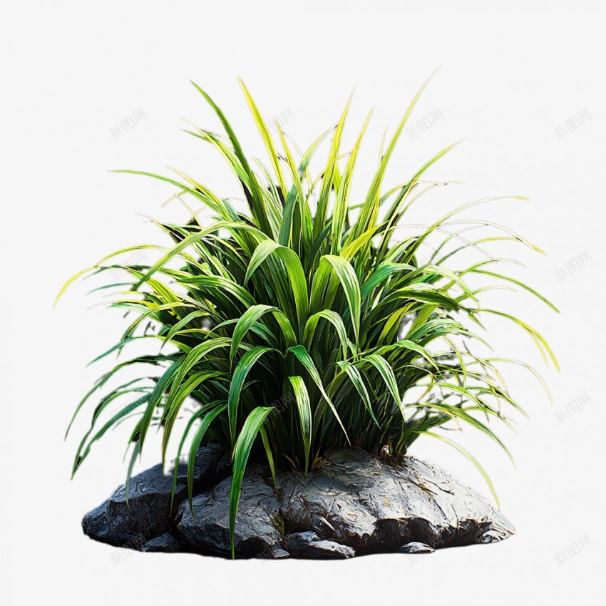 绿植png免抠素材_88icon https://88icon.com 绿植 旺盛 卡通盆景 装视 净化 培土 绿色 摆放 春天 盆栽元素 