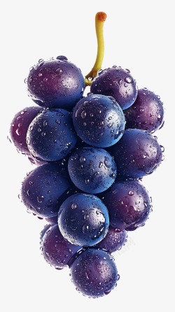 新鲜的紫葡萄素材