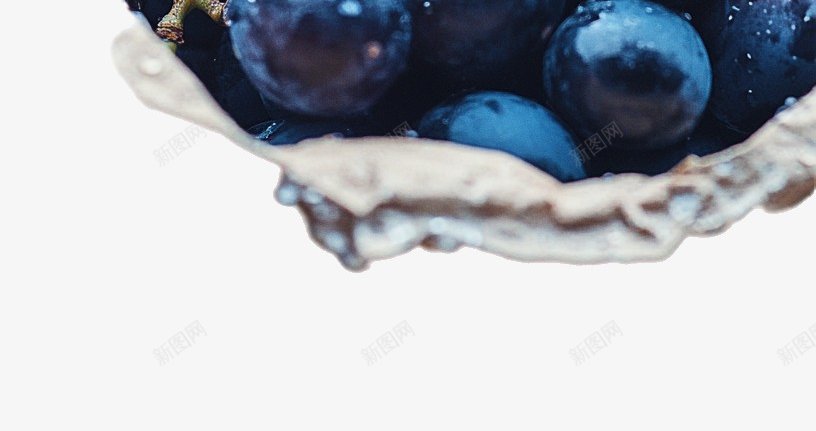 新鲜的紫葡萄png免抠素材_88icon https://88icon.com  紫葡萄 实物拍摄 新鲜 清甜 成熟葡萄 水润 农产品 农业 葡萄 葡萄酒 水果 健康 提子 电商 