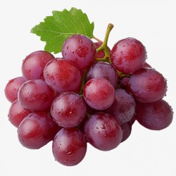 新鲜的紫葡萄素材