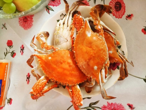 海鲜螃蟹美食摄影图片