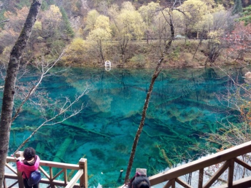 九寨沟清澈见底碧蓝色的湖水青山美景摄影图片