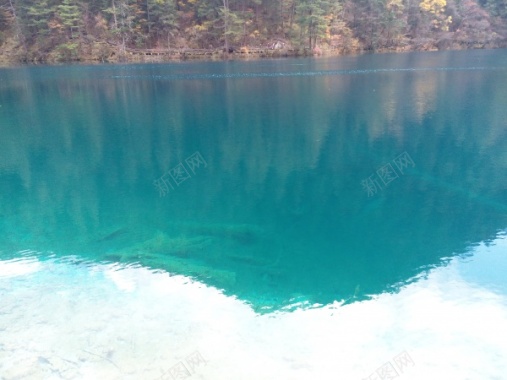 九寨沟清澈见底碧蓝色的湖水青山美景摄影图片
