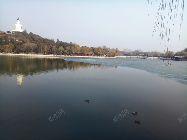 湖水风景jpg_88icon https://88icon.com 湖水 白塔 绿树 风景 鸭