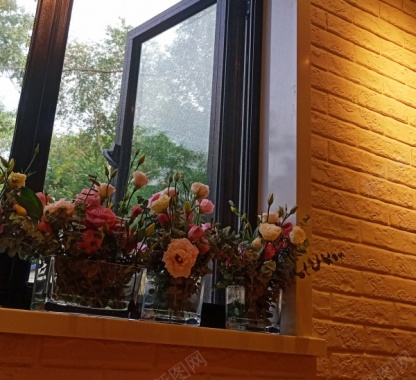 窗台的鲜花摄影图片