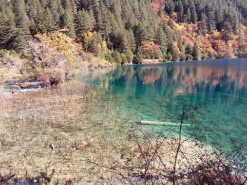 九寨沟清澈见底碧蓝色的湖水青山美景摄影图片