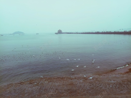 青岛海边风景摄影图片