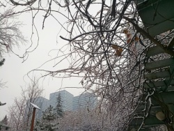 白茫茫的雪雪景高清图片