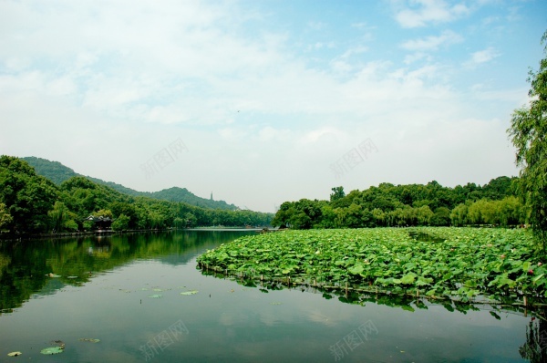 静湖风光jpg_88icon https://88icon.com 树木 树林 河流 湖水 湖边 荷叶 荷花 西湖