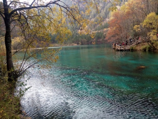 九寨沟清澈见底碧蓝色的湖水青山美景摄影图片