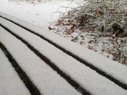 白茫茫的雪雪景高清图片