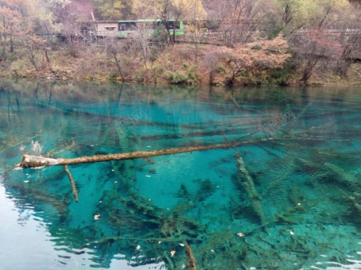 九寨沟清澈见底碧蓝色的湖水青山美景摄影图片