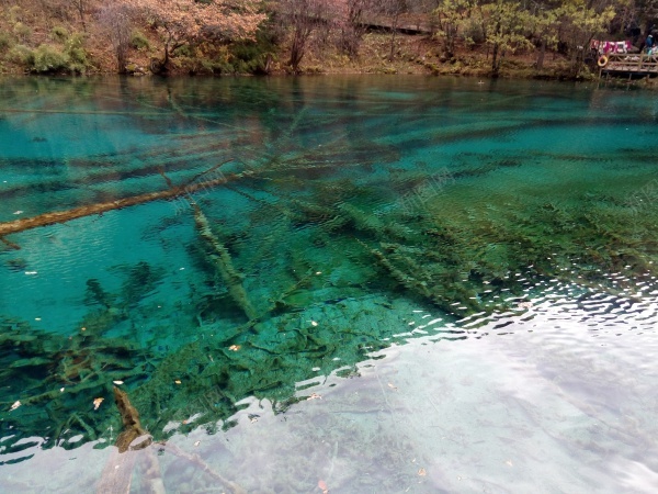 九寨沟清澈见底碧蓝色的湖水青山美景jpg_88icon https://88icon.com 九寨沟 清澈 湖水 美景 蓝色 青山