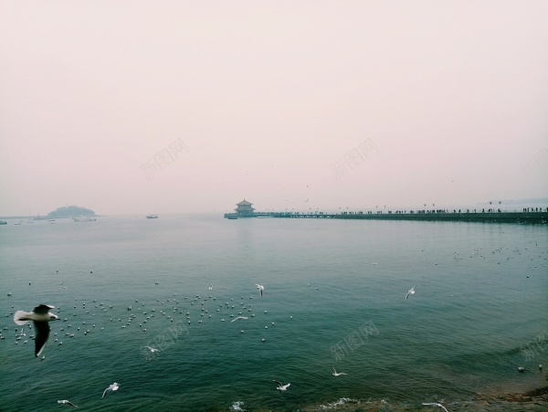 大海风景jpg_88icon https://88icon.com 大海 栈桥 海滩 海鸥 风景