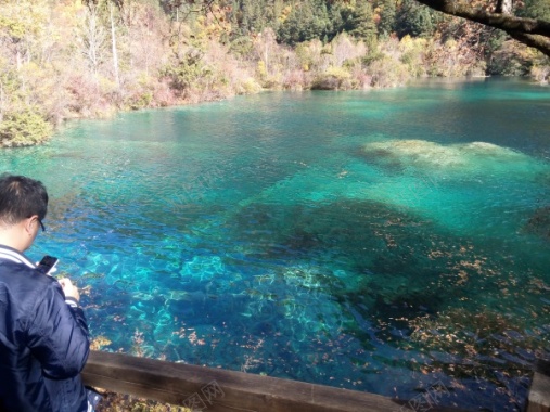 九寨沟清澈见底碧蓝色的湖水青山美景摄影图片