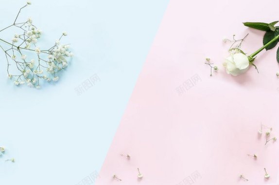 拼色背景背景背景