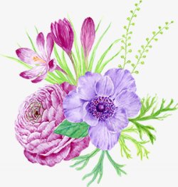 春季手绘水彩花卉手绘彩绘水彩插画素材