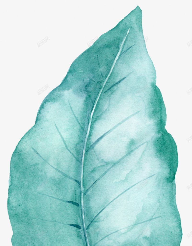 手绘彩绘植物绿叶花朵灬灬北坤人S化妆品饰品高png免抠素材_88icon https://88icon.com S 化妆品饰品高端花朵