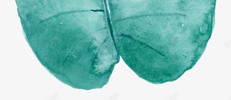 手绘彩绘植物绿叶花朵灬灬北坤人S化妆品饰品高png免抠素材_88icon https://88icon.com S 化妆品饰品高端花朵