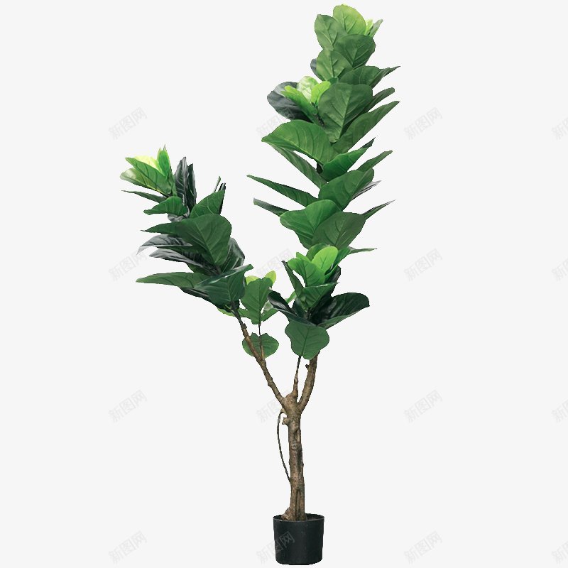 居家盆栽植物图png免抠素材_88icon https://88icon.com 植物 居家 装饰 绿植 旺盛 盆栽 透明植物 铁艺花架