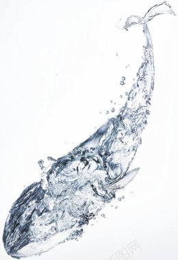水做的鲸鱼水做的鲸鱼背景鲸鱼水润保湿效背景