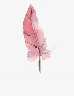 手绘水彩粉红墨斑点花羽毛图片素材