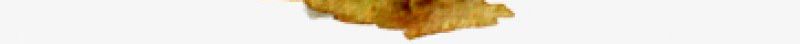 图手绘水彩树木专辑Vol001秋冬树木手绘水彩树集png免抠素材_88icon https://88icon.com 专辑Vol 冬季光秃秃的树木 各种树木的绿色和金色 图 手绘水彩树木