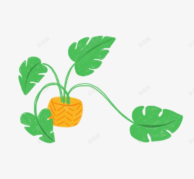 手绘彩铅室内植物可爱插画HOUSEPLANTSPapng免抠素材_88icon https://88icon.com Pack Patterns 免扣手绘彩绘水彩插画