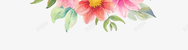 花草花朵手绘花花草草png免抠素材_88icon https://88icon.com 手绘 花朵 花花草草 花草