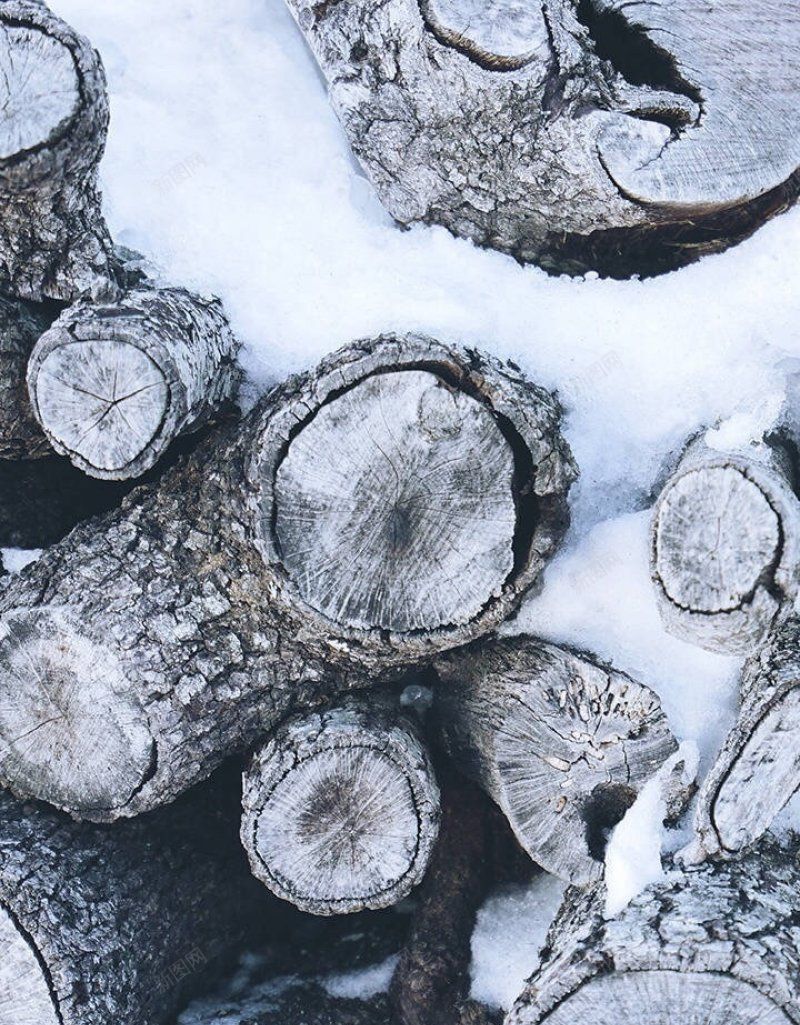 冬日清新风景背景手机壁纸实景主推真实风景部分来jpg设计背景_88icon https://88icon.com 实景主推真实风景