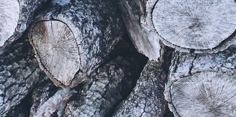 冬日清新风景背景手机壁纸实景主推真实风景部分来jpg设计背景_88icon https://88icon.com 实景主推真实风景