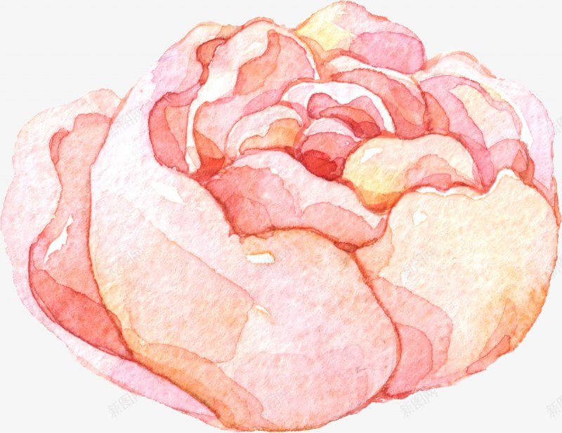 小清新手绘水彩月季树枝花环水彩手绘小清新手绘文png免抠素材_88icon https://88icon.com 免扣 小清新 手绘 月季 树枝 水彩 花环