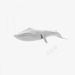 动物鲸鱼手绘素材素材