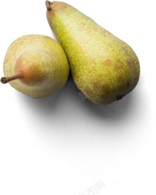 香梨香梨Pears丨写实美食厨房食材水果蔬菜本套大小2图标图标