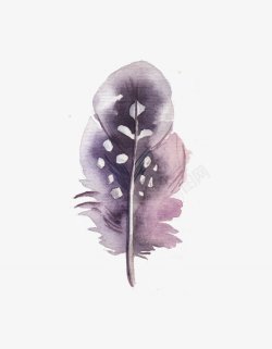 水彩紫黑白渐变有斑点花羽毛绘画图素材