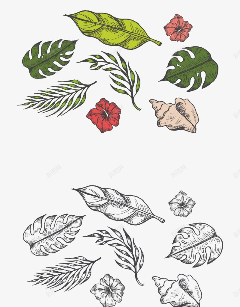 点击大图一套热带夏威夷丛林植物手绘合集包Hpng免抠素材_88icon https://88icon.com Drawn Elements Hand Tropical Vector