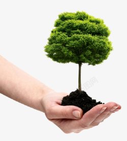 手捧泥土大树透明图层保护大树保护环境抽象树创意创意素材