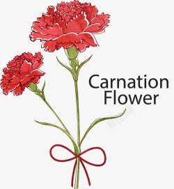 康乃馨母亲节感恩节53插画母亲节父亲教师节素材