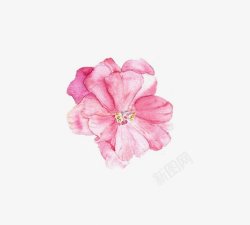 水彩粉红色花朵插画图素材