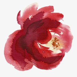 手绘鲜红的茶花透明C古风中国风不用抠图灯笼花扇子屏素材