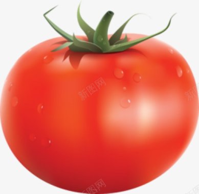 西红柿西红柿番茄食物水果赞wwwzansheji图标图标
