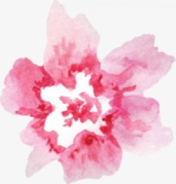 粉色水彩墨迹花朵插画图片素材